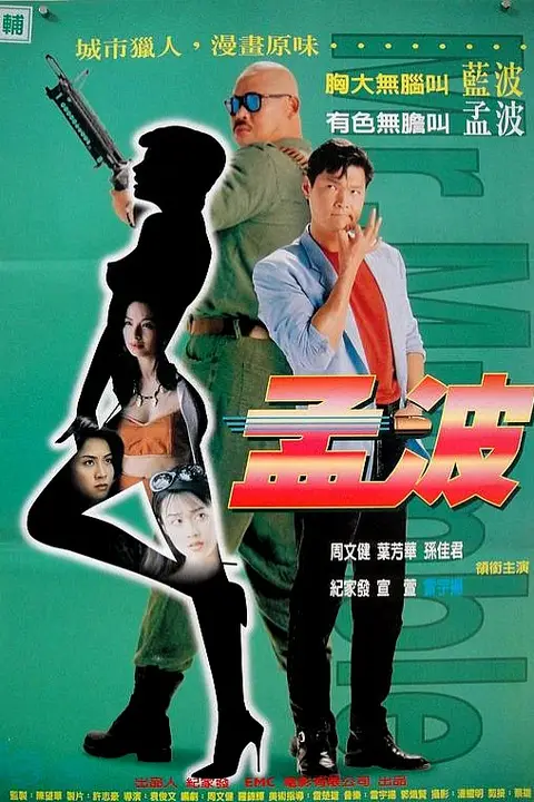 《孟波》封面