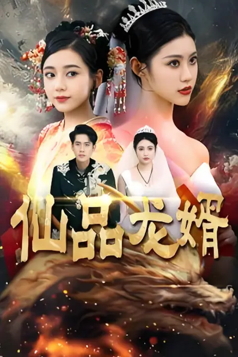 《仙品龙婿》封面