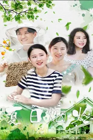 《夏日烟火》封面