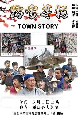 《踏雪寻梅》封面