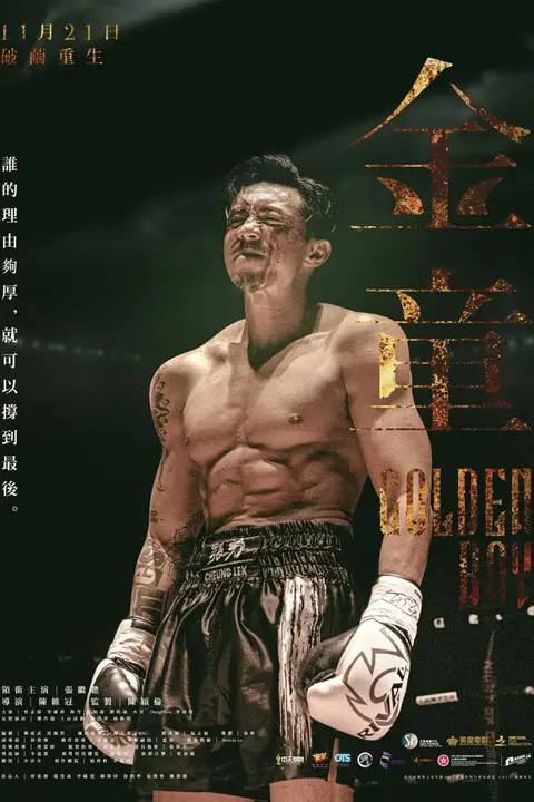 《金童 普通话版》封面