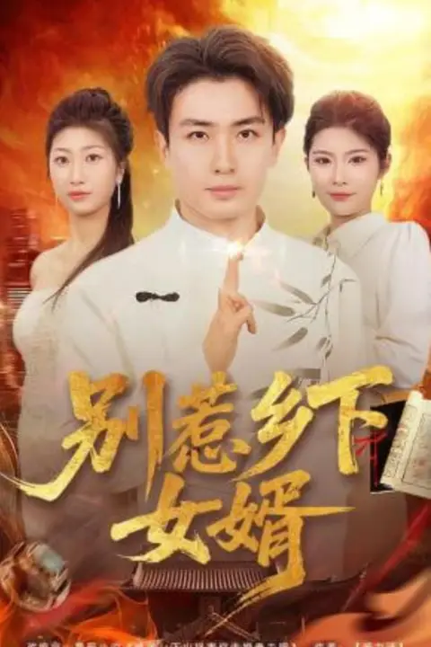 《别惹乡下女婿》封面
