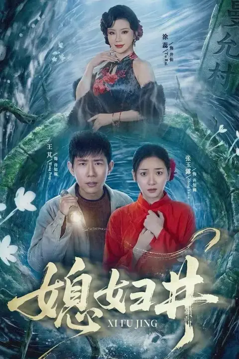 《媳妇井》封面