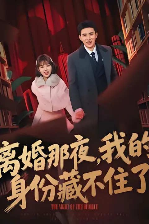 《离婚那夜，我的身份藏不住了》封面