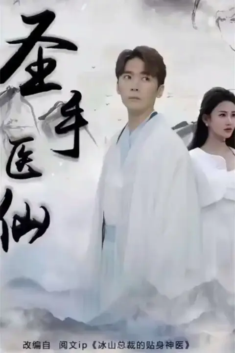 《圣手医仙》封面