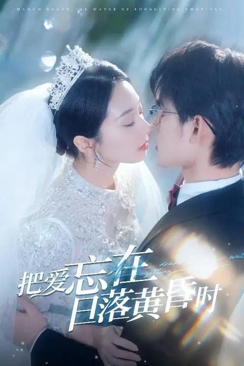 《把爱忘在日落黄昏时（重逢仍是心动）》封面