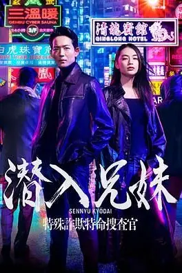 《潜入兄妹 特殊诈欺特命搜查官》封面