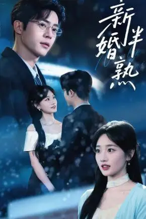 《新婚半熟》封面