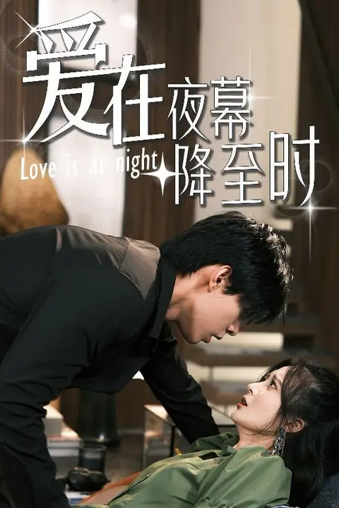 《爱在夜幕降至时》封面