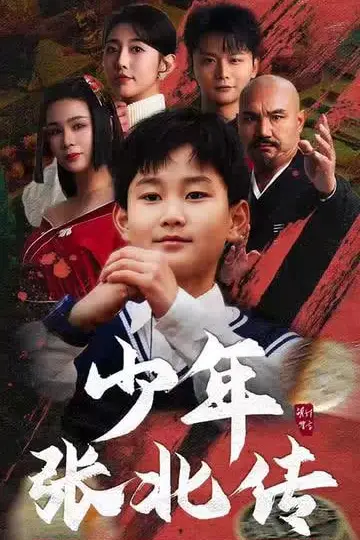 《少年张北传》封面