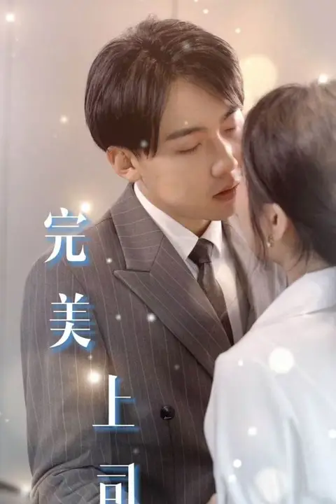 《完美上司》封面