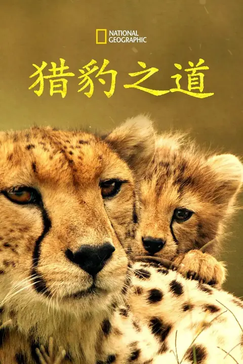 《猎豹之道》封面