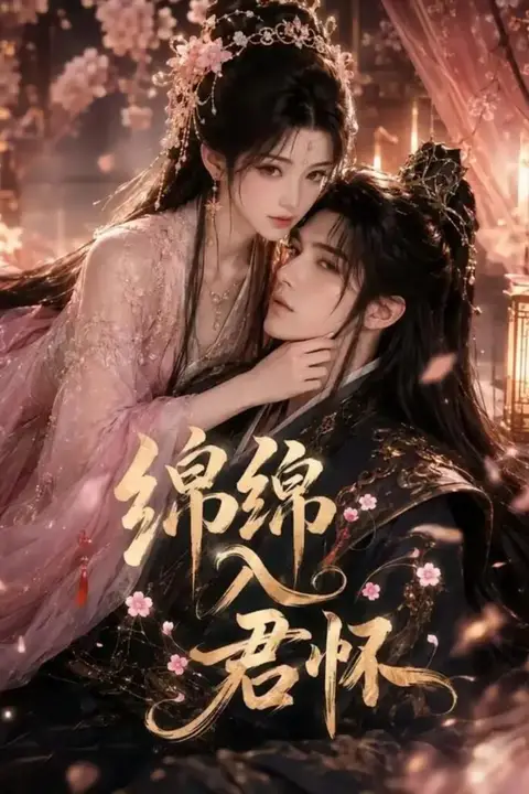 《绵绵入君怀》封面