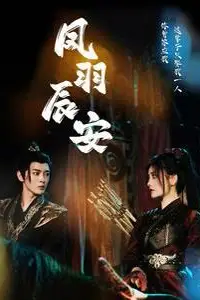 《凤羽辰安》封面