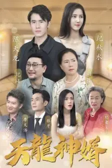 《天龙神婿》封面