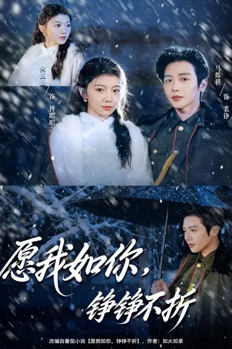 《愿我如你，铮铮不折》封面