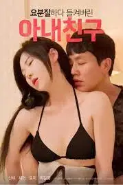 《被捉奸的妻子朋友》封面