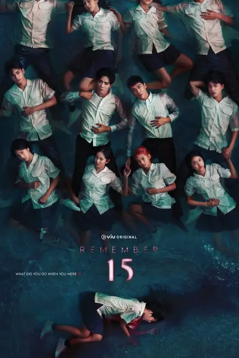 《记得 15》封面