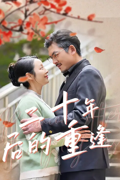 《二十年后的重逢》封面