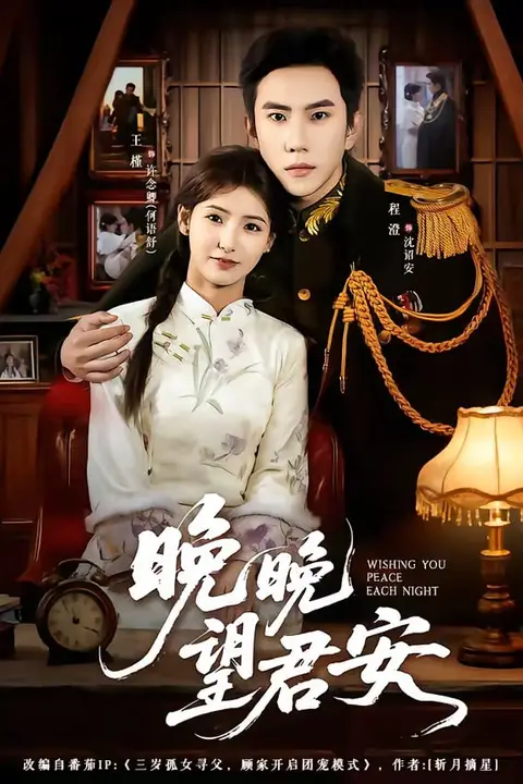 《晚晚望君安》封面