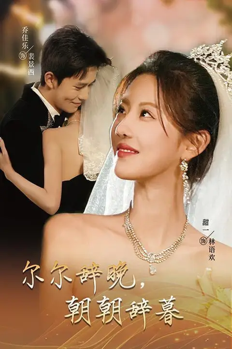 《尔尔辞晚朝朝辞暮-禁欲大佬宠她无度》封面