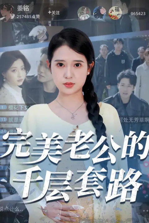 《完美老公的千层套路》封面