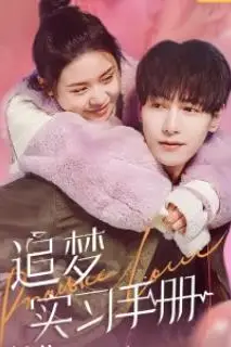 《追梦实习手册》封面