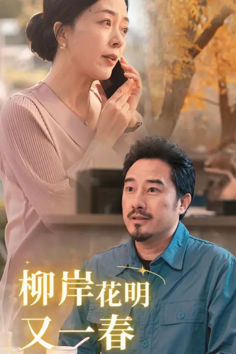 《柳暗花明又一春》封面