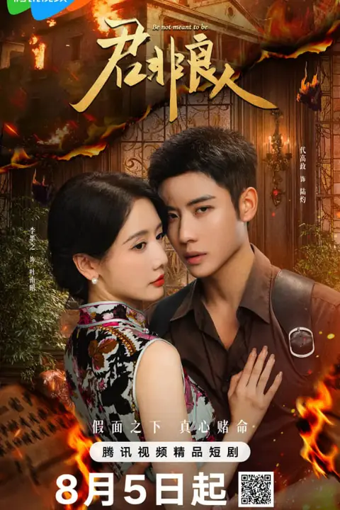《君非良人》封面