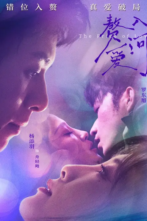 《赘入爱河》封面