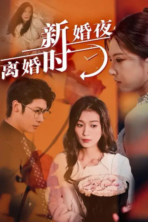 《新婚夜，离婚时》封面