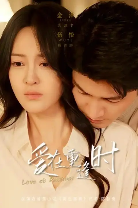 《爱在重逢时》封面