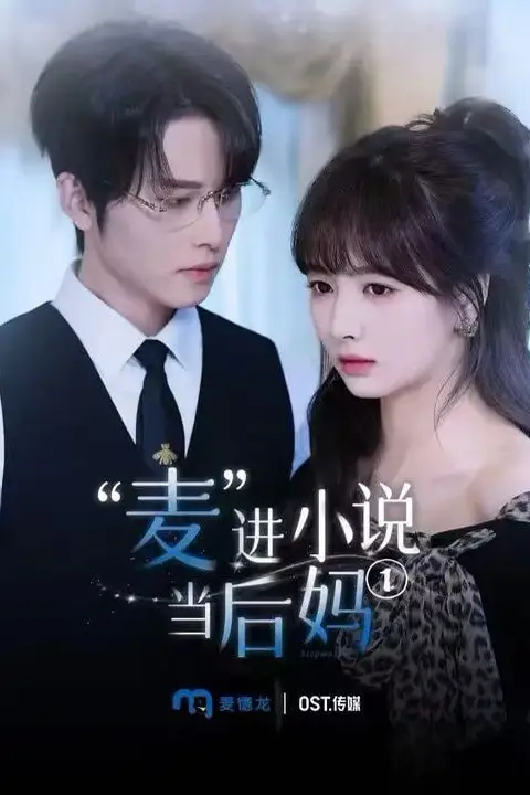 《麦进小说当后妈》封面