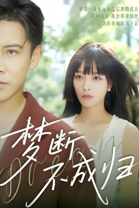 《梦断不成归》封面
