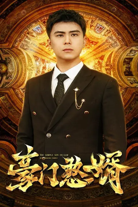 《豪门憨婿》封面
