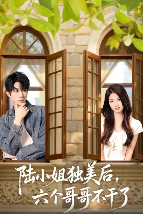 《陆小姐独美后六个哥哥不干了》封面