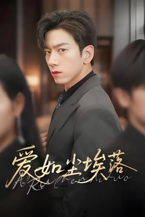 《爱如尘埃落》封面
