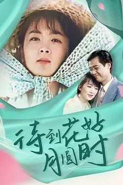 《待到花好月圆时》封面