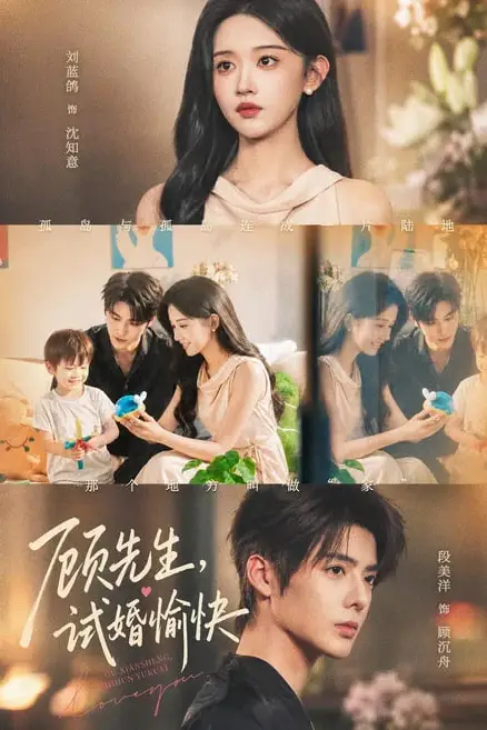 《顾先生,试婚愉快》封面