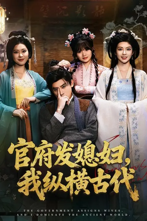 《官府发媳妇,我纵横古代》封面