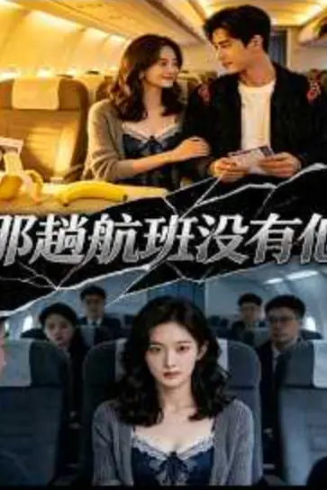 《那趟航班没有他》封面