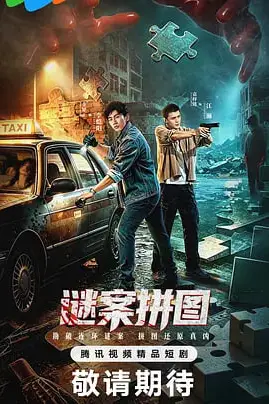 《谜案拼图》封面