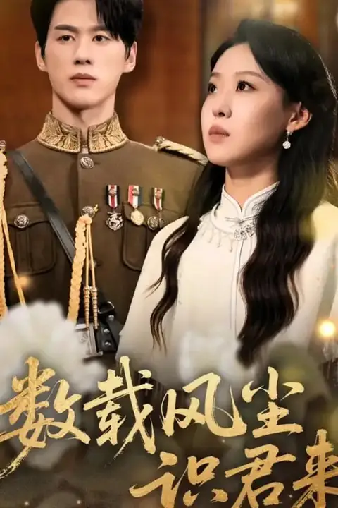 《数载风尘识君来》封面