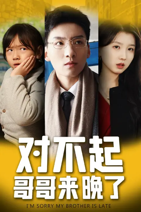 《对不起哥哥来晚了》封面