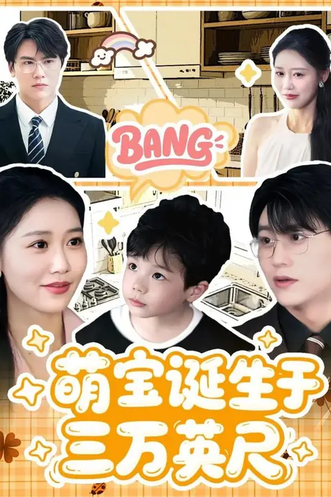 《萌宝诞生于三万英尺》封面