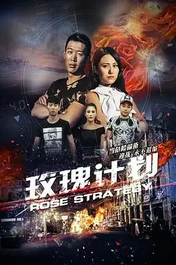 《玫瑰计划》封面