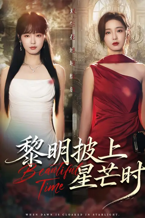 《黎明披上星芒时》封面