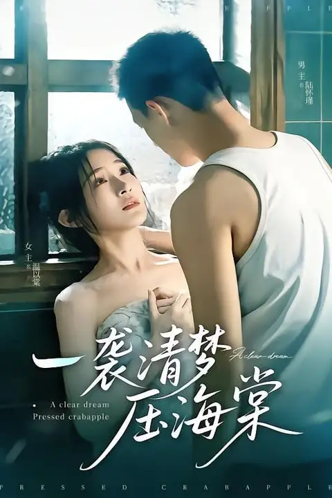 《一袭清梦压海棠》封面