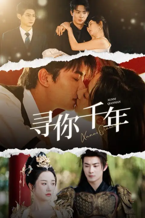 《寻你千年（千年后我依旧爱你）》封面