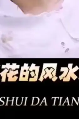 《美女校花的风水大天师》封面